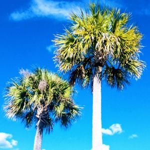 Meet your Posher, Ashlee